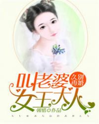 久别再婚：叫老婆女王大人封面