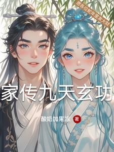 家传九天玄功封面