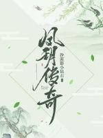 凤玥传奇封面