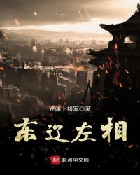 东辽左相封面