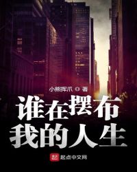 谁在摆布我的人生封面