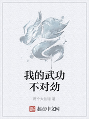 我的武功不对劲封面