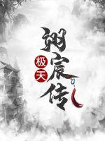 极天翊宸传封面