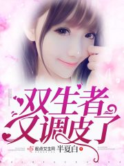 双生者又调皮了封面