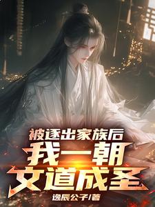 文道成圣后，薄情父亲悔断肠封面