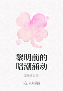 黎明前的暗潮涌动封面