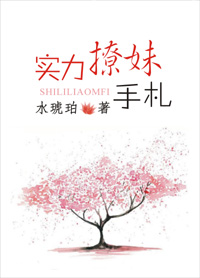 实力撩妹手札封面