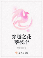 穿越之花落彼岸封面