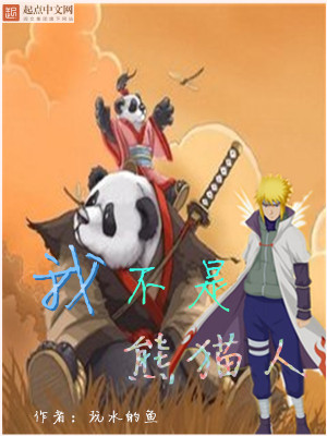 我不是熊猫人封面