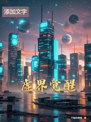 虚界觉醒封面