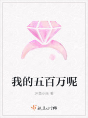 我的五百万呢封面
