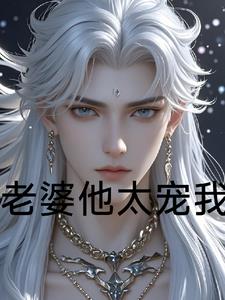 老婆他太宠我封面