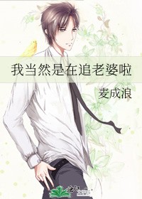 我当然是在追老婆啦封面