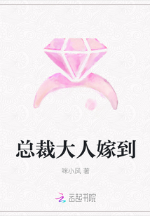 总裁大人嫁到封面