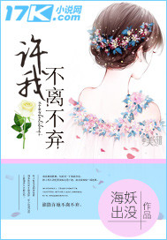 许我不离不弃封面