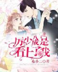 厉少八成是看上了我封面