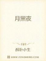 月黑夜封面