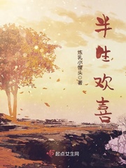 半生欢喜封面