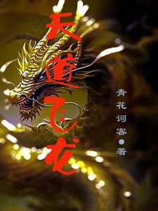 天道飞龙封面