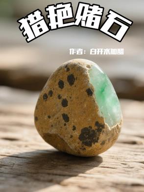 猎艳赌石封面