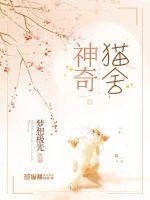 神奇猫舍封面