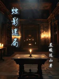 烛影迷局封面