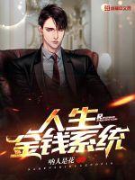 人生金钱系统封面