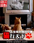 猫行天下封面