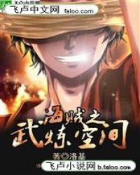 海贼之武练空间封面