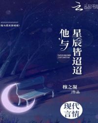 他与星辰皆迢迢封面