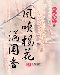 风吹杨花满园香封面