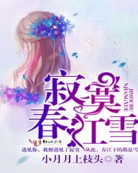 寂寞春江雪封面
