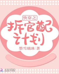 快穿之拆官配计划封面