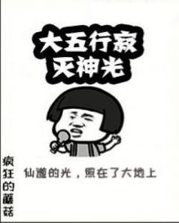 大五行寂灭神光封面