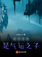 我觉得我是气运之子封面