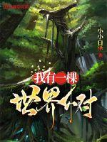 我有一棵世界树封面