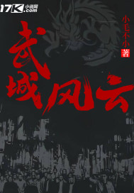 武城风云封面