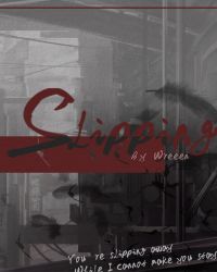 Slipping封面