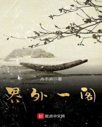 界外一阁封面