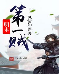 明末第一贼封面
