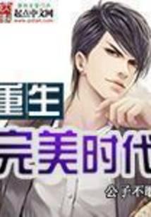 重生完美时代封面