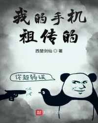 我的手机祖传的封面