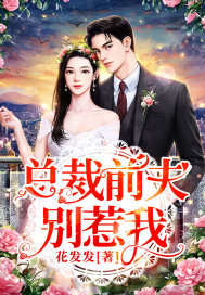 总裁前夫别惹我封面