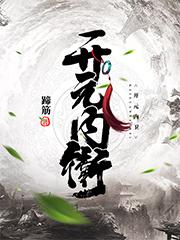 开元内卫封面
