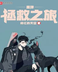 黑弹拯救之旅封面