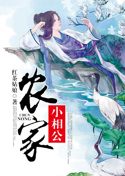 农家小相公封面