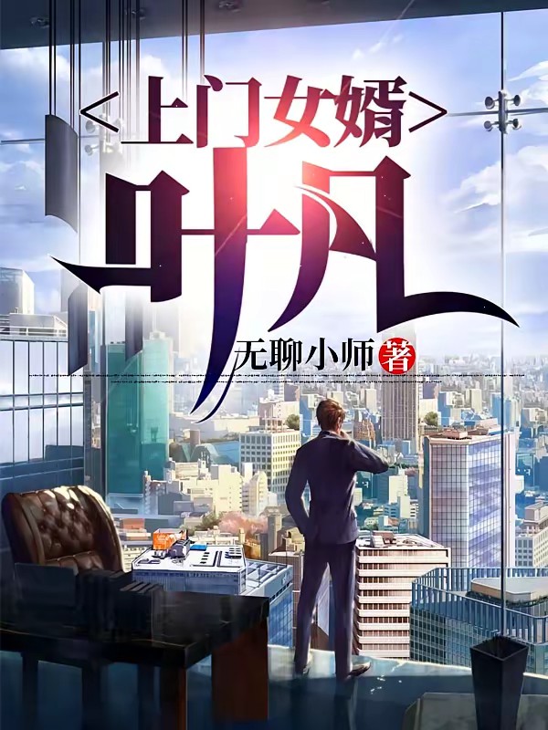 上门女婿叶凡封面