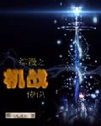 综漫之机战传说封面