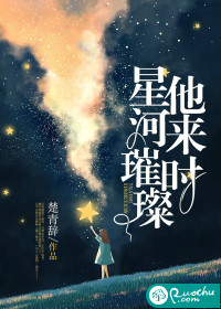 他来时星河璀璨封面