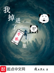 我掉进了手机里封面